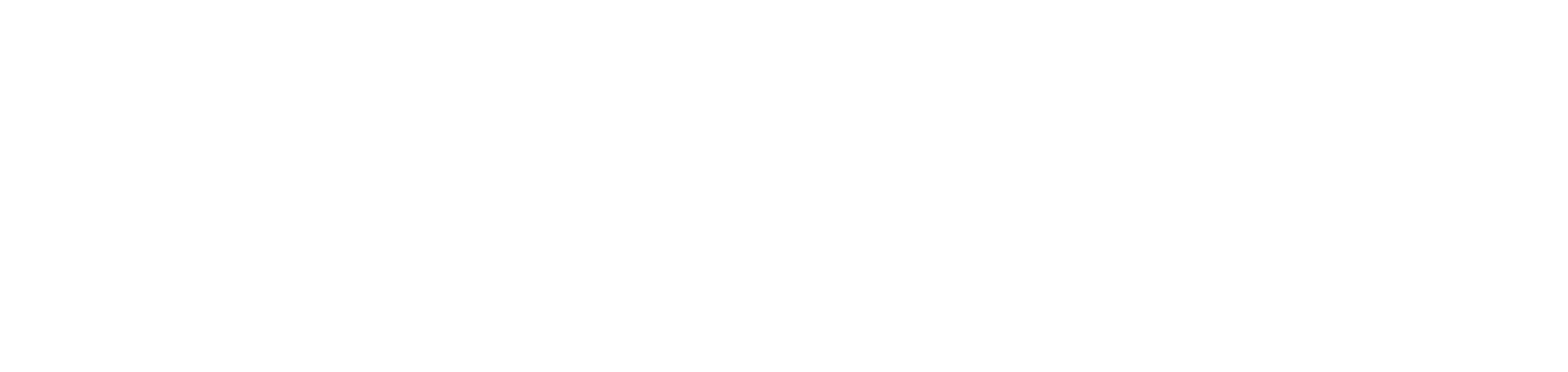 Flowstate logo in white